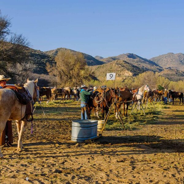 Desert Caballeros Trail Ride About 1