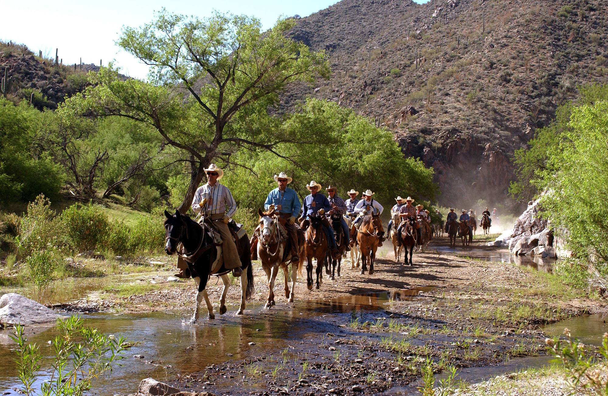 Desert Caballeros Trail Ride About 2
