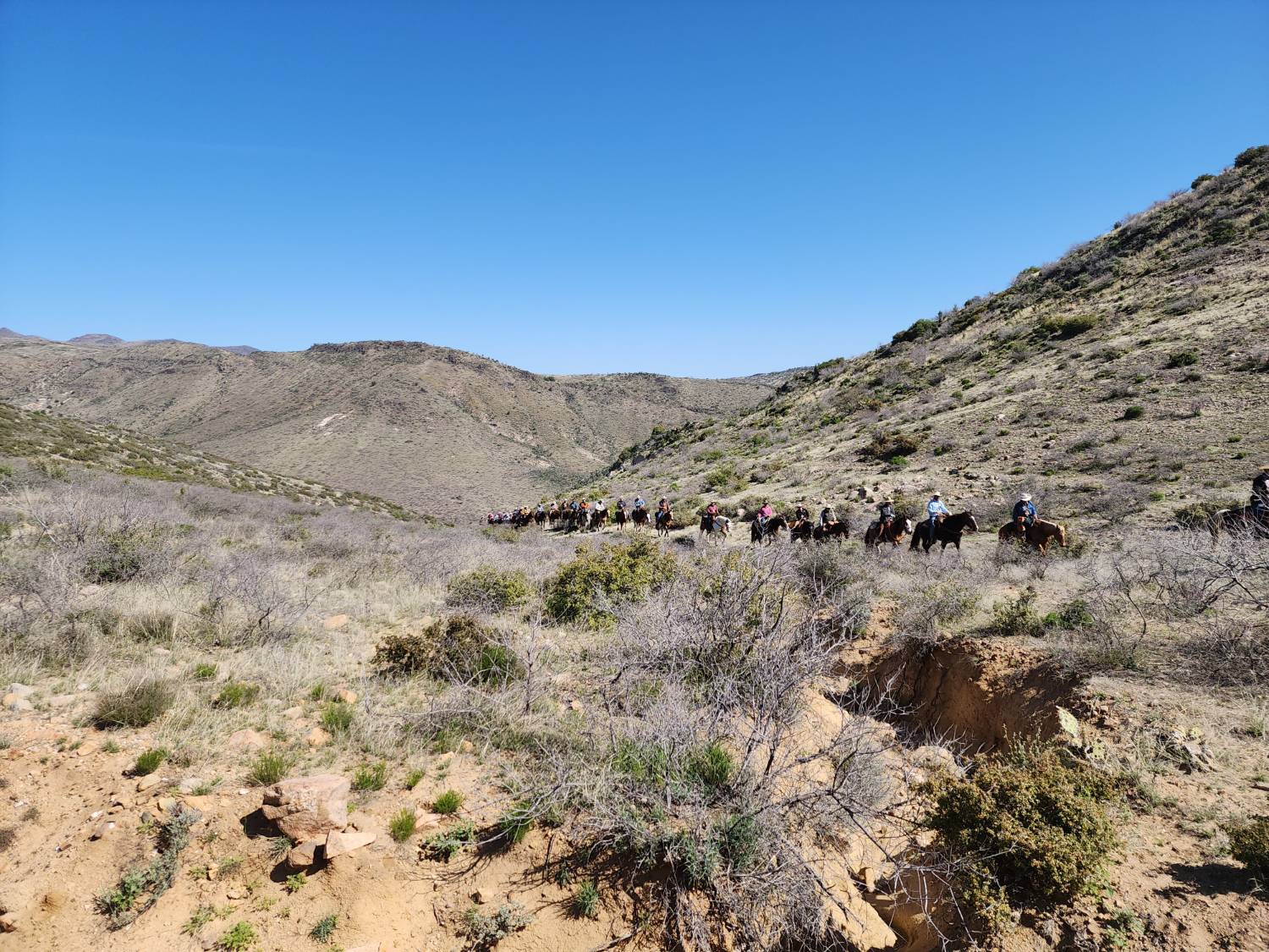 Desert Caballeros Trail Los Caballeros Camp