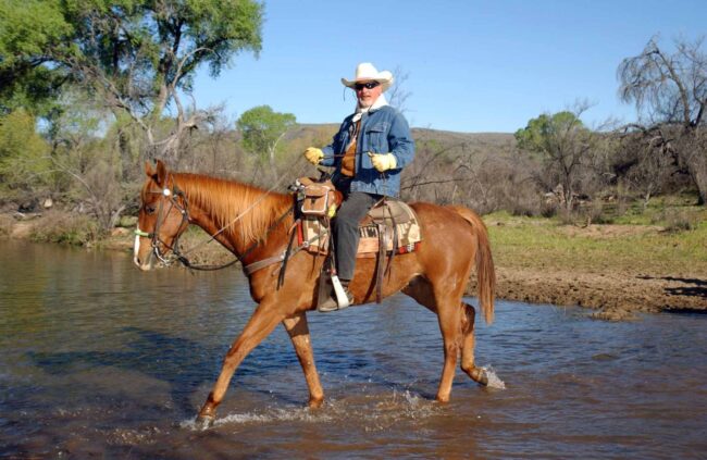 Desert Caballeros Ride Trail