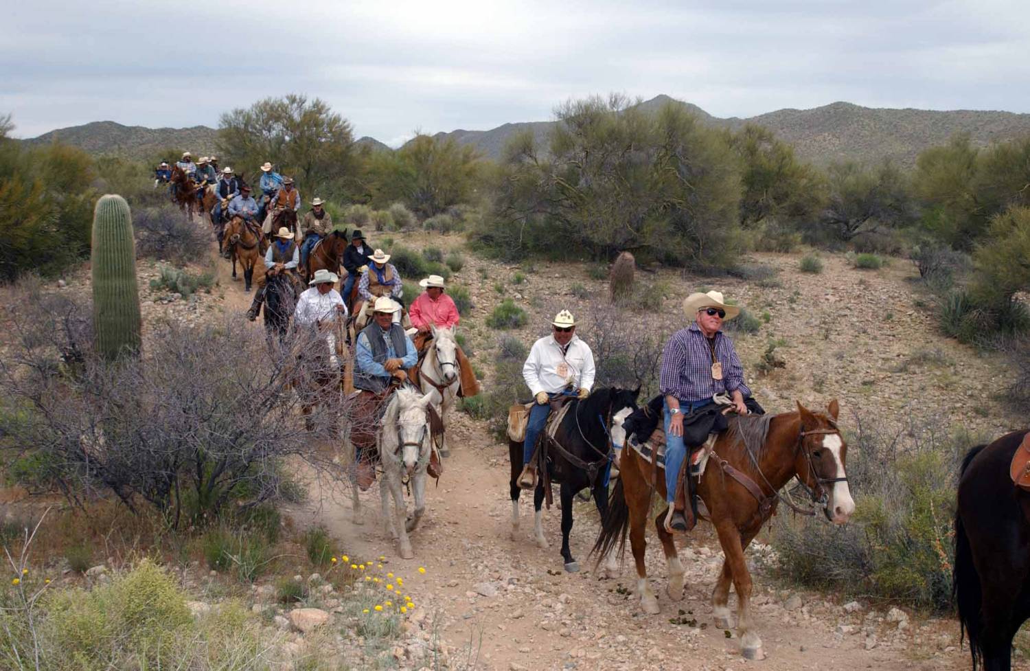 Desert Caballeros Ride Trail