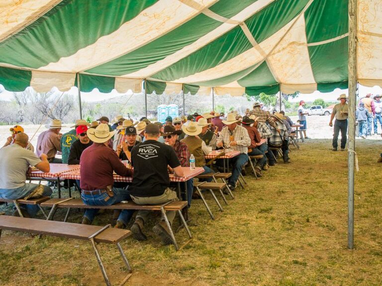 Desert Caballeros Trail Los Caballeros 9