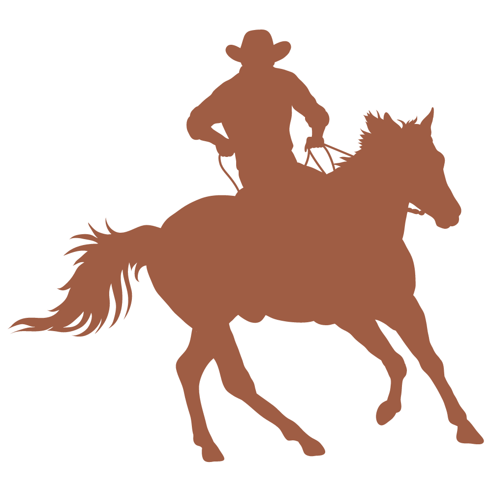 dc-ride-horse-rider Desert Caballeros Trail Rider