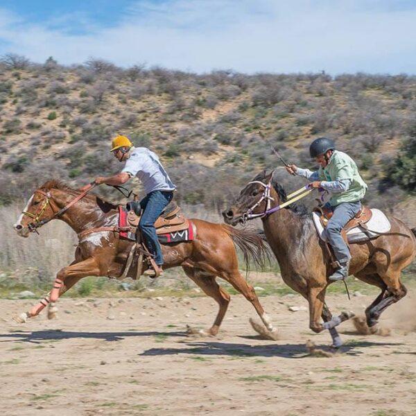 Desert Caballeros Trail Ride About 5